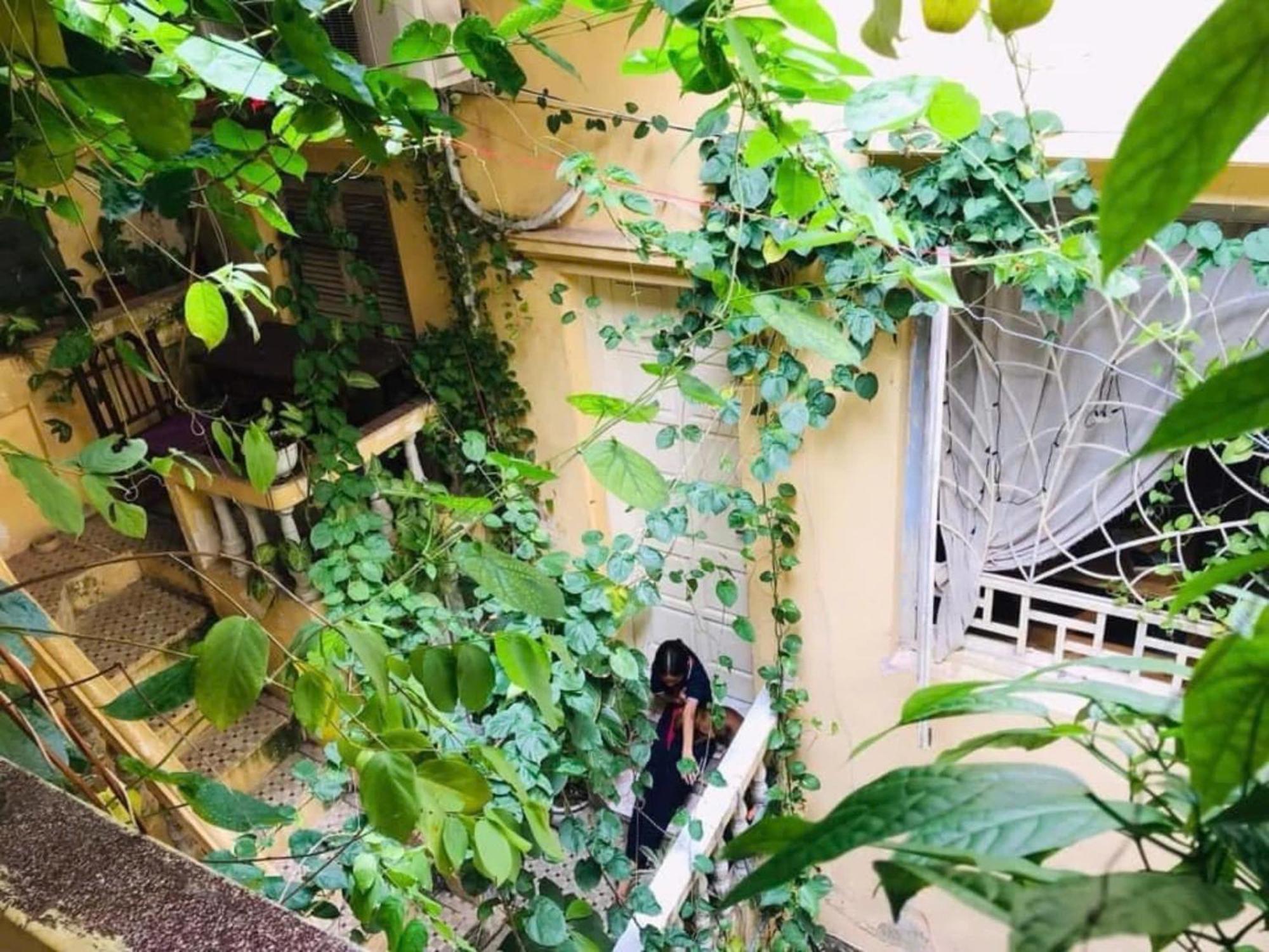 Azalea Apartment Ανόι Εξωτερικό φωτογραφία