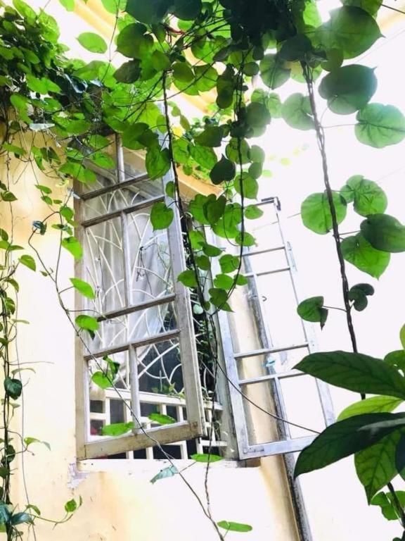 Azalea Apartment Ανόι Εξωτερικό φωτογραφία